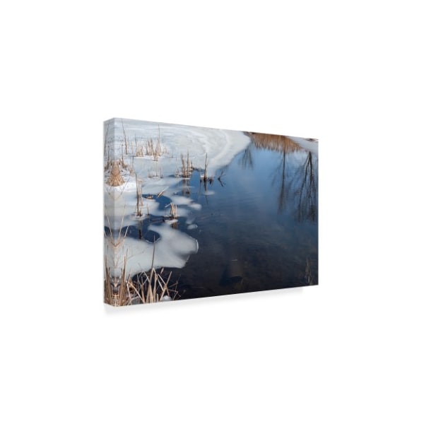 Anthony Paladino 'Ice And Reflections On Pond' Canvas Art,30x47